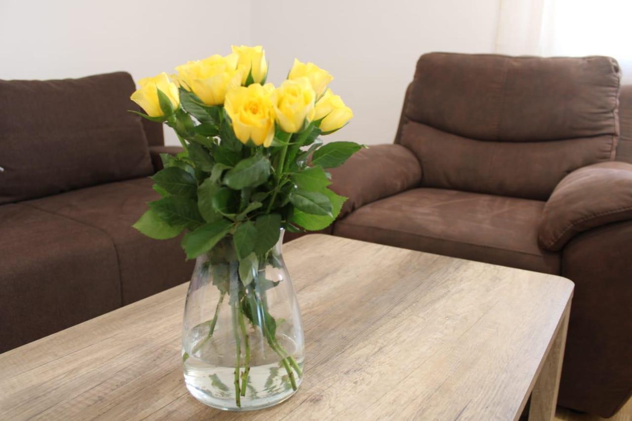 Apartments Renata Donji Seget Zewnętrze zdjęcie