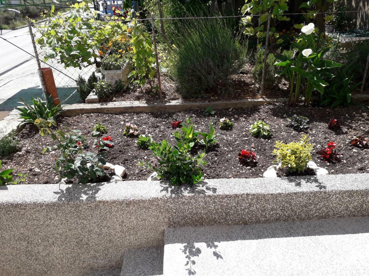 Apartments Renata Donji Seget Zewnętrze zdjęcie